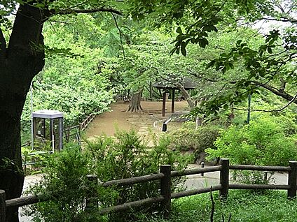 大倉山公園 1005m