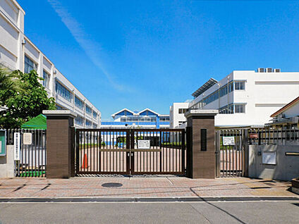 高槻市立高槻小学校 228m