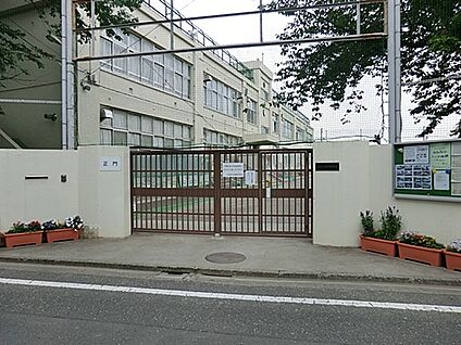 杉並区立神明中学校 584m