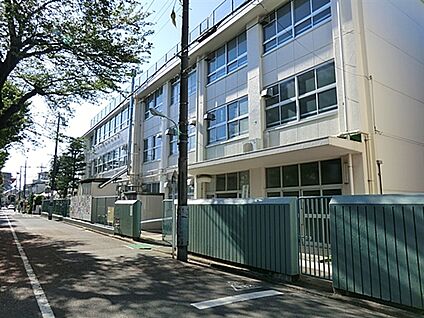 中野区立緑野中学校 510m