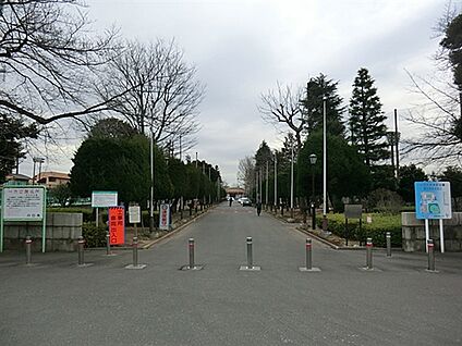 川口市青木町公園 1037m