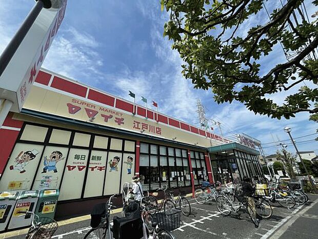ヤマイチ江戸川店（約296m）