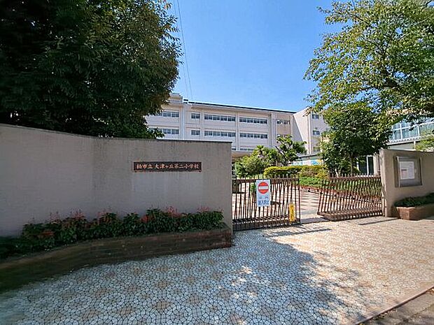 柏市立大津ケ丘第二小学校(約697m)