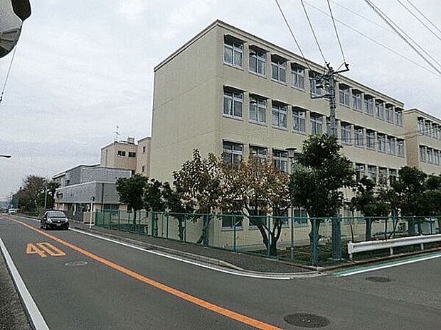 横浜市立上郷小学校(約905m)
