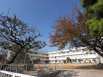 大田区立赤松小学校 401m