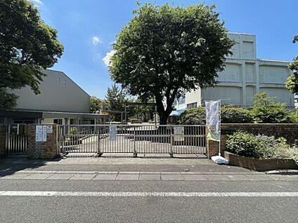 横浜市立二つ橋小学校 346m