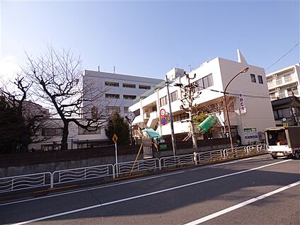 江東YMCA幼稚園 457m