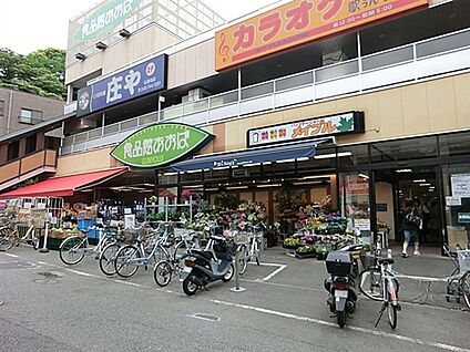 食品館あおば弘明寺店 1151m