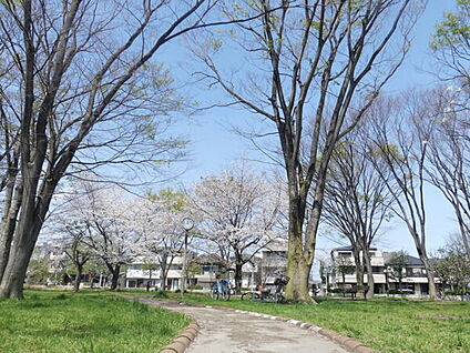 平間公園 756m