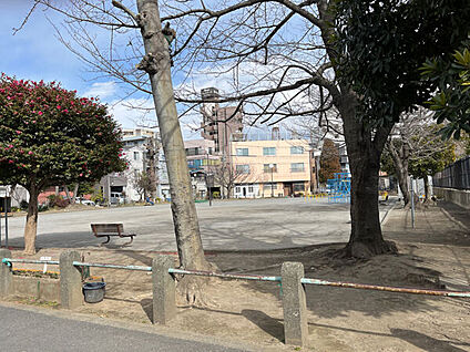 浜町公園 497m