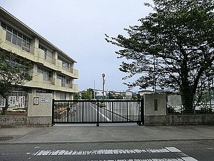 藤沢市立鵠洋小学校 1485m