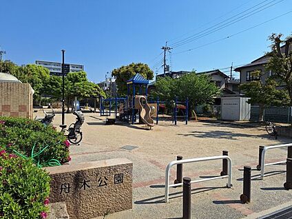 舟木公園 1175m