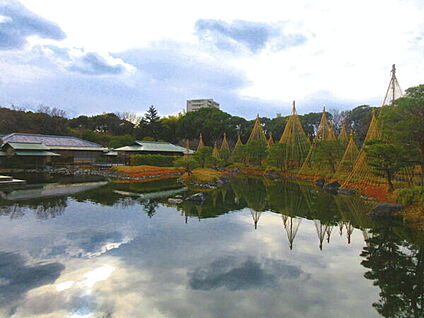 白鳥庭園 1435m