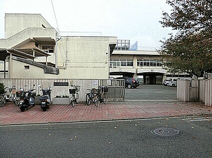 横浜市立本宿中学校 742m