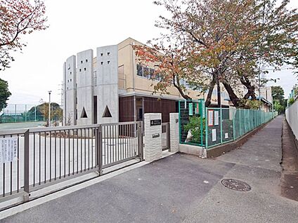 世田谷区立砧中学校 2017m