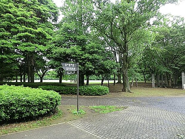 柏市立十余二小学校(約1,177m)