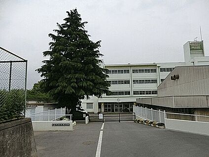 流山市立向小金小学校 1024m