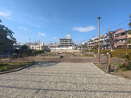 大久保中央公園 315m