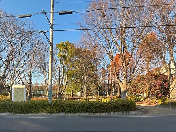 与野中央公園（約683m）