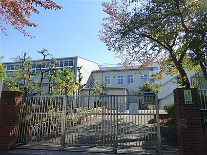 横浜市立南が丘中学校 539m