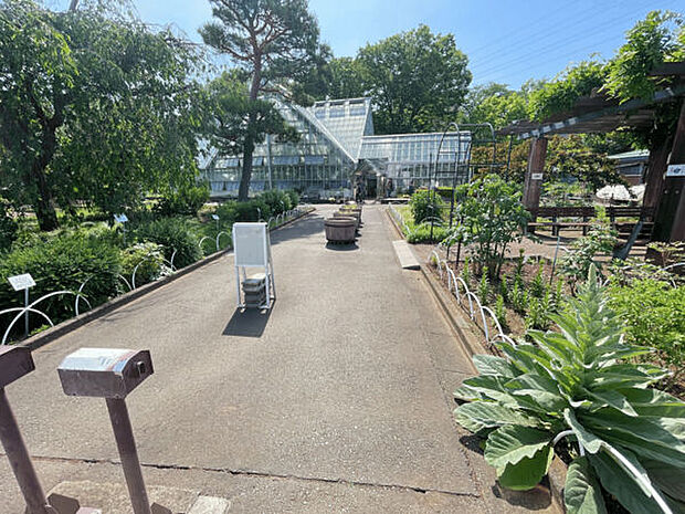 東京都薬用植物園（約1,054m）