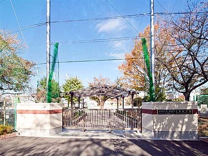 練馬区立大泉学園桜小学校 757m