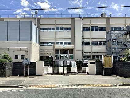 昭島市立玉川小学校 82m