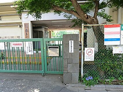 板橋区立弥生小学校 501m