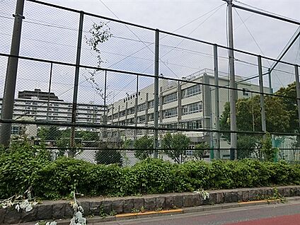 江東区立大島西中学校 1142m