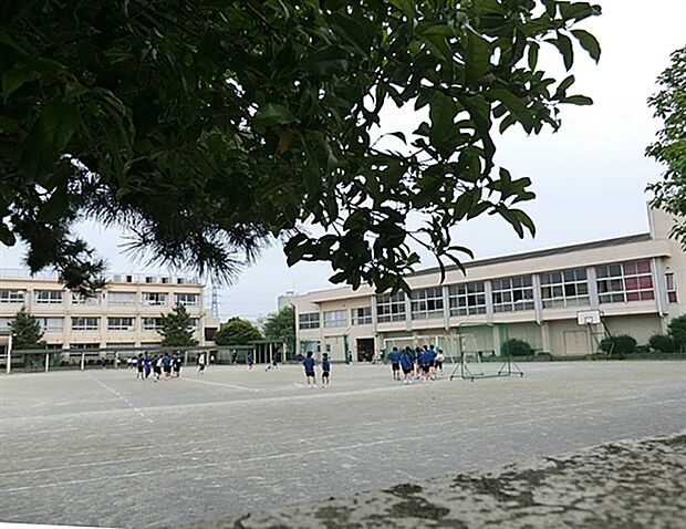 葛飾区立常盤中学校(約209m)