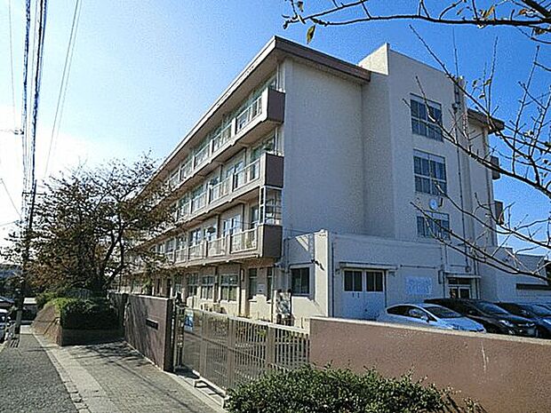 横浜市立芹が谷南小学校(約1,201m)