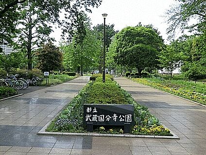 武蔵国分寺公園 648m