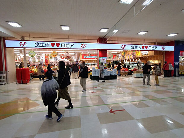 ロピア岡崎エルエルタウン店(約862m)