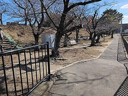 新池南児童遊園 336m