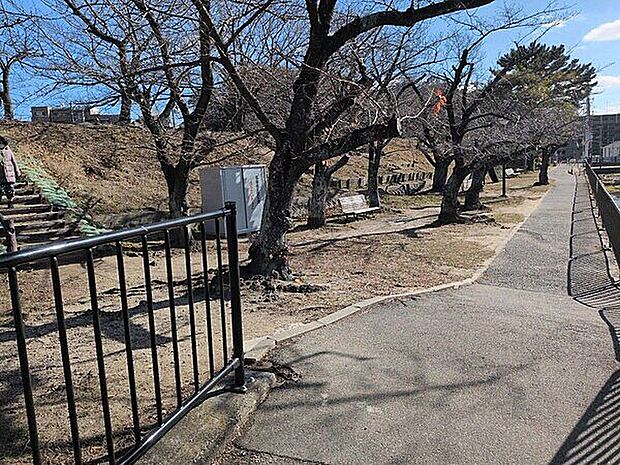 新池南児童遊園（約336m）