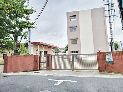 尼崎市立塚口小学校 978m