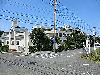 横浜市立桂小学校 489m