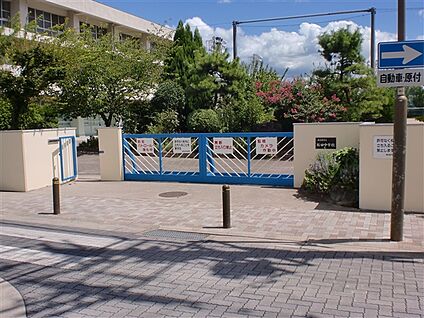 名古屋市立桜田中学校 1234m