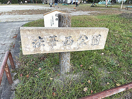 法華西公園 1138m
