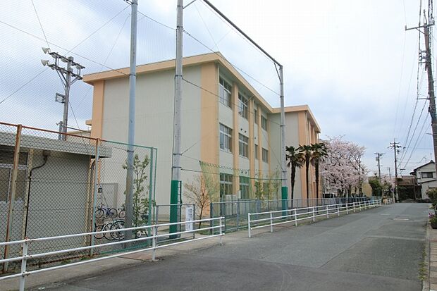 蒲小学校