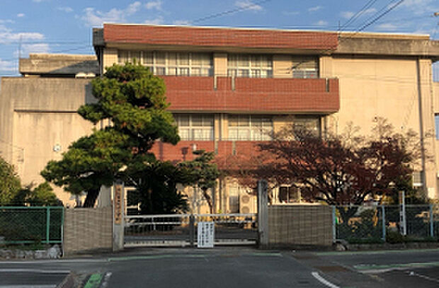 北浜南小学校（約1,600m）