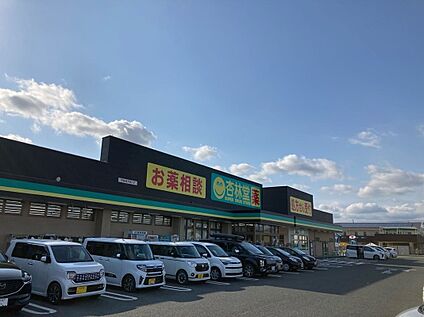 杏林堂小松店 800m(車約1分)