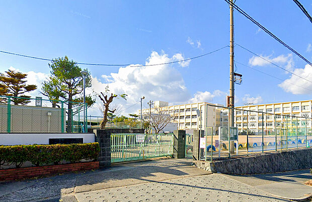 南五葉小学校（約50m）