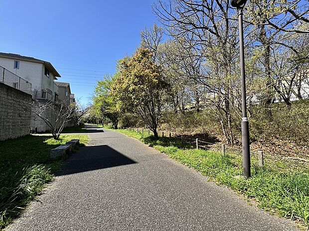 【-】坪井町1号緑地内にある坪井せせらぎの道。分譲地から「船橋日大前」駅のへのルートにもなっています。歩行者専用通路のためお子様も安心。桜やホタル池もあり、出勤・通学時に季節を感じられます。