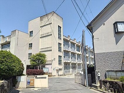 堺市立東百舌鳥中学校 約1000ｍ(徒歩13分)