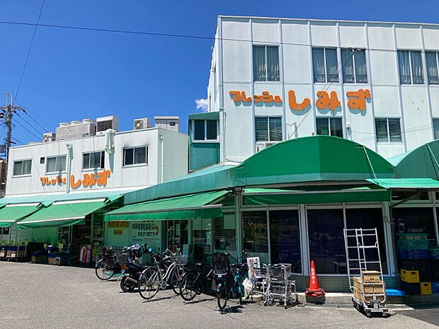 フレッシュしみず本店　