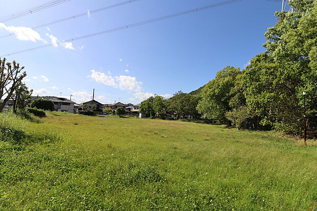 伏見台北公園（約252m）