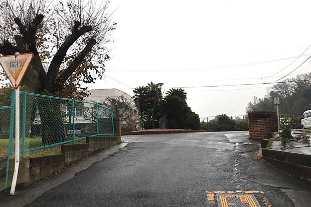 八幡中学校（約1,500m）