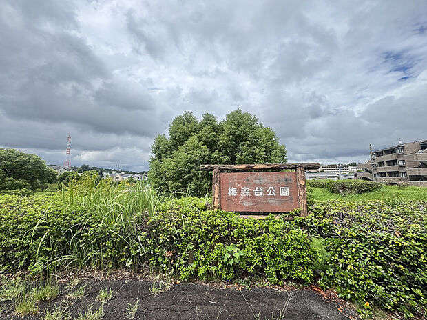 梅森台公園（約850m）