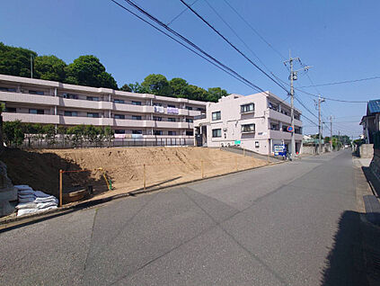 現地写真（5.18撮影）